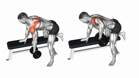 Rear delt row - Nov 17, 2021 ... Rows are great exercise and if that is the only exercise you want to do for your back ever, it will do just fine (not giving you super sized ...